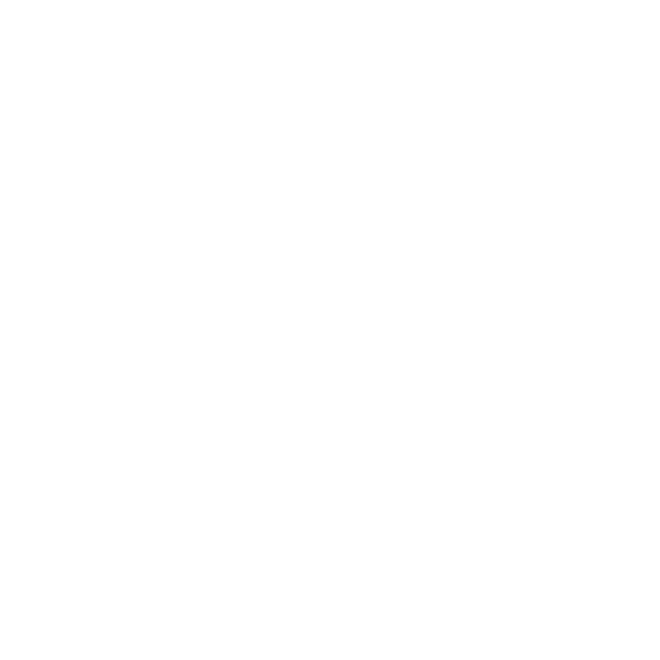 UN SDG 17